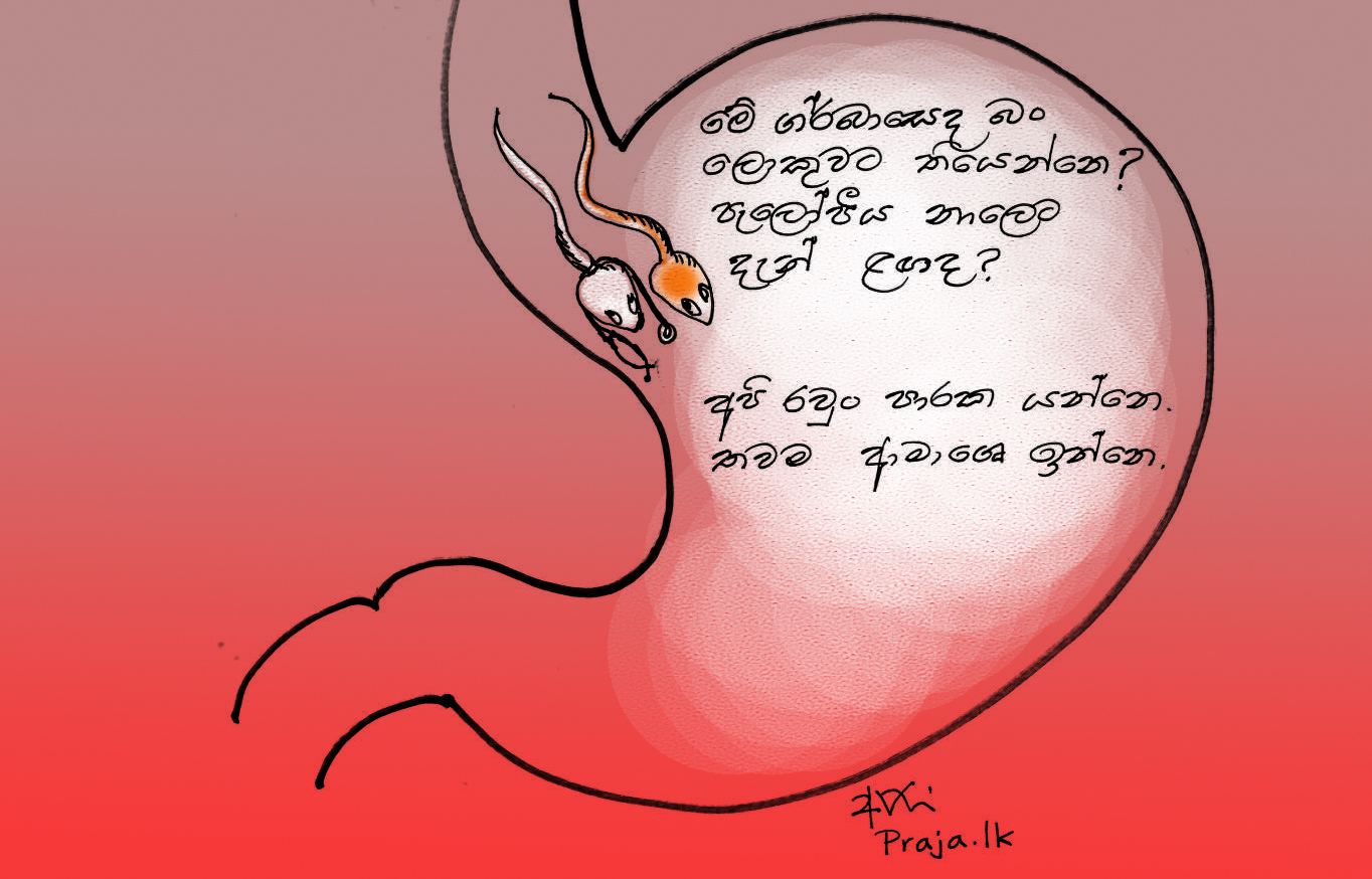 cartoon by Ajith Perakum Jayasinghe