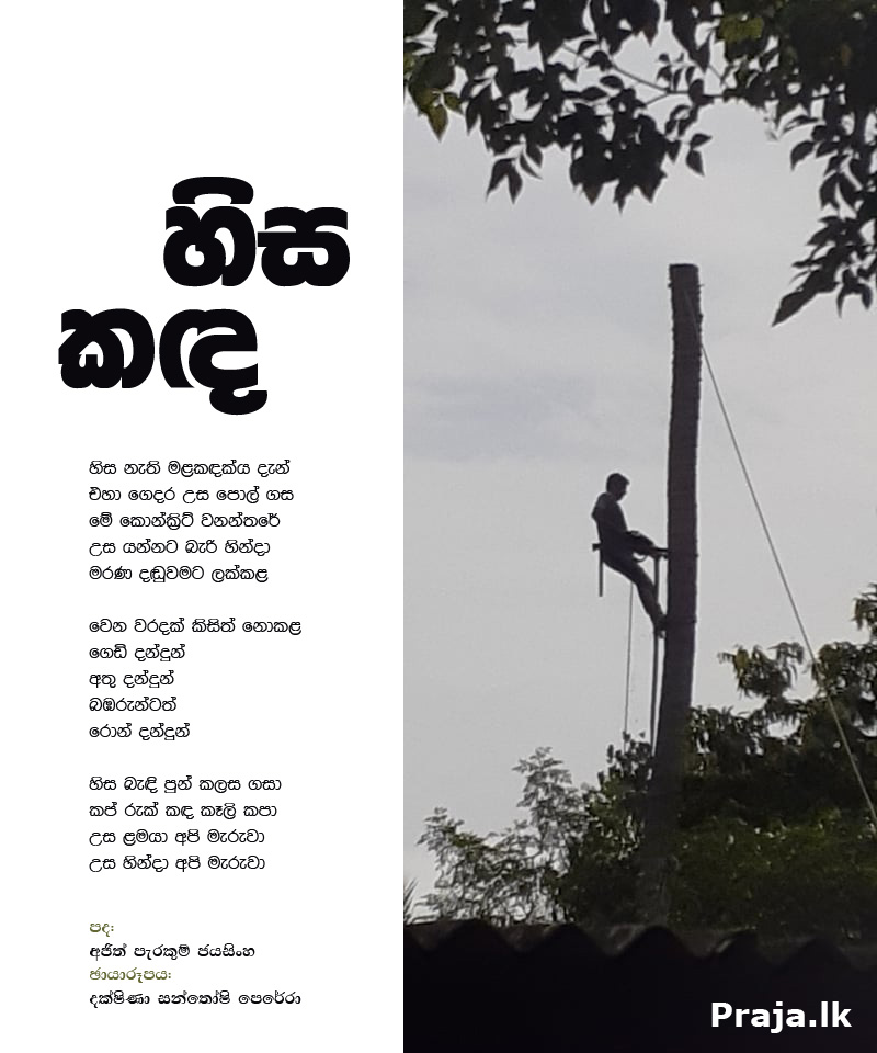Photo and poem by Ajith Perakum Jayasinghe