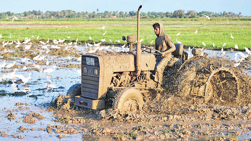 tractor in a paddy field